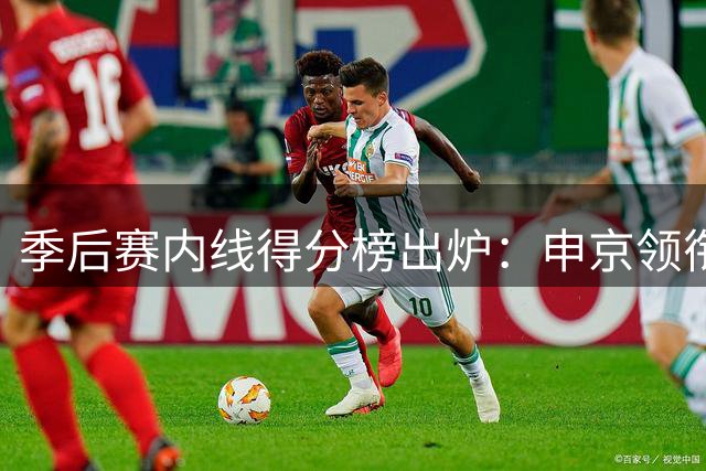 季后赛内线得分榜出炉：申京领衔群雄